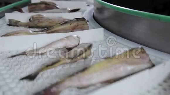 海鲜加工厂准备鲜鱼视频的预览图