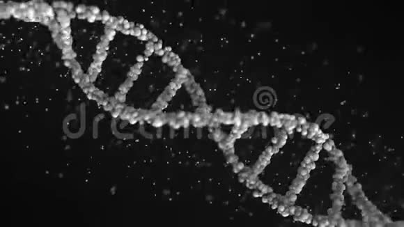 变成灰色DNA分子模型无缝环视频的预览图