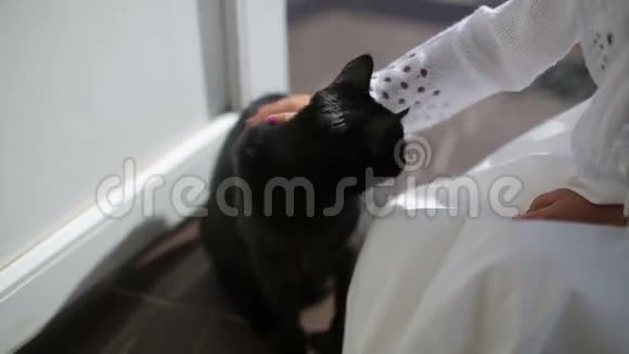 女孩子熨黑猫关门视频的预览图