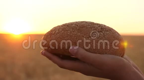 夕阳下一个女孩手里拿着一块面包在麦田上空美味的面包放在手掌上新鲜的视频的预览图
