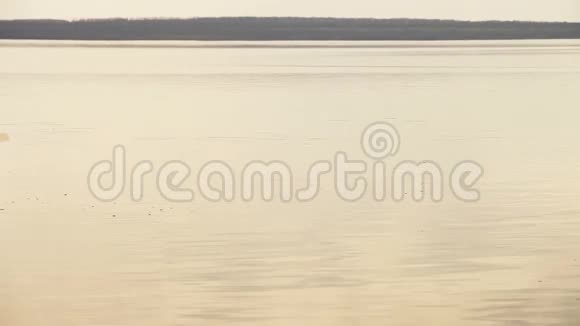 宁静的人在宁静的湖面上乘充气船划船视频的预览图