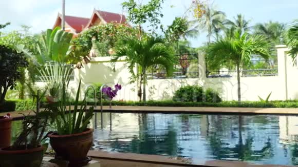 一个令人惊叹的热带度假胜地游泳池淹没在绿色植物和弗兰吉帕尼花苏梅岛3840x2160视频的预览图