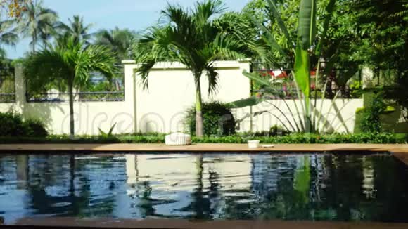 美丽的热带度假村游泳池淹没在绿色植物和弗兰吉帕尼花苏梅岛4k3840x2160视频的预览图