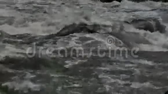 乌拉尔河水流湍急视频的预览图