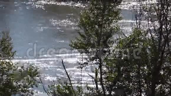 阳光照耀下美丽湖泊的景观绿树枝中的风视频的预览图