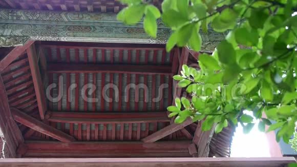 中国古代建筑屋檐屋顶瓦和树叶视频的预览图