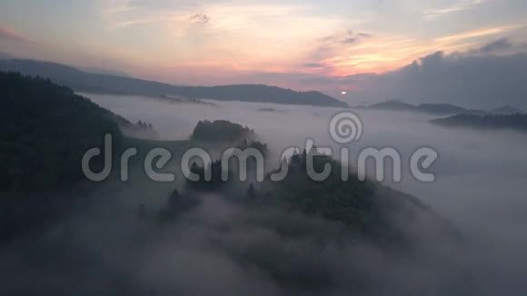 早晨日出时在雾蒙蒙的云层上飞过森林视频的预览图