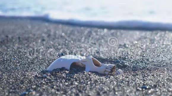 一个人的头骨在海滩上在海浪下4k慢动作视频的预览图