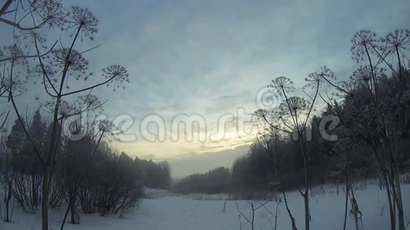 日出时的冬季森林视频的预览图