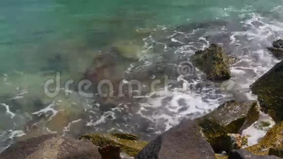 夏日迈阿密轻海湾经过清洁水岸4k美国视频的预览图