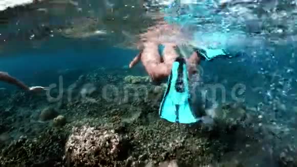 年轻女士在热带海域的珊瑚礁上浮潜戴口罩的女人在清水中浮潜视频的预览图