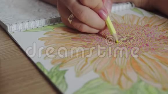 一个女人手拿铅笔和给一本成人着色书着色的彩色视频放松和集中的活动视频的预览图
