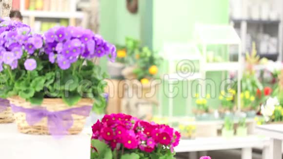 春天的花园里女花匠带着白色柳条花篮笑着紫色的初花视频的预览图