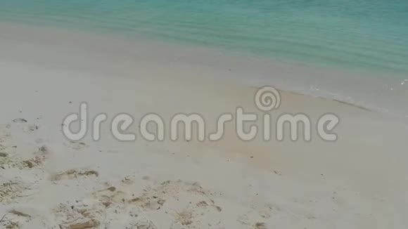 美丽的海滩有白色的沙滩棕榈树和清澈的蓝色海洋视频的预览图