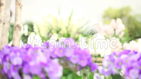春天的花园里女花匠带着白色柳条花篮笑着紫色的初花视频的预览图