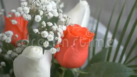 一束红色的玫瑰装饰着绿色的视频视频的预览图