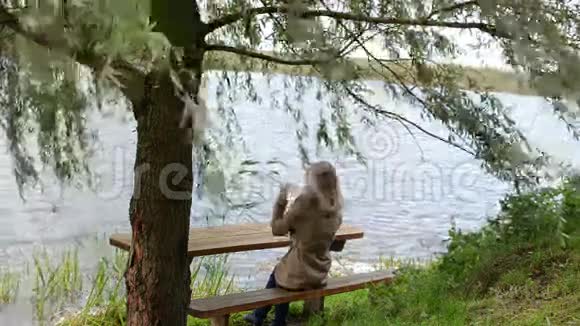 少女树凳湖发视频的预览图