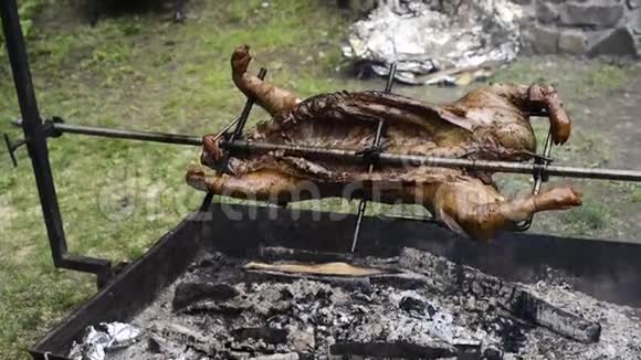 小猪乳猪肉烤烤烤烤烧烤熏制视频的预览图