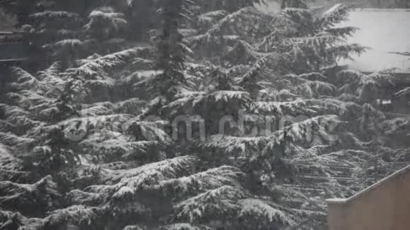 飘落的雪花房子和森林视频的预览图