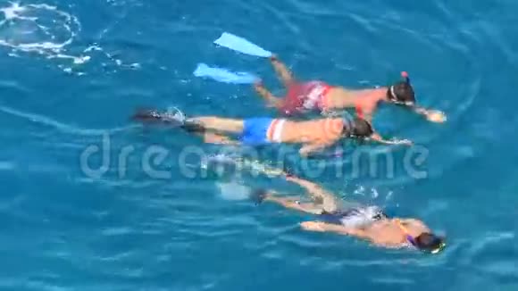 三个浮潜者在蓝色的海面上视频的预览图