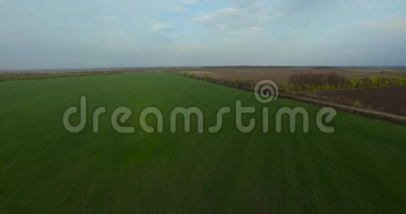 春季绿色农业视野视频的预览图