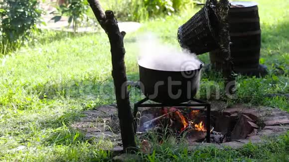 铁铸锅在明火上煮炖菜视频的预览图