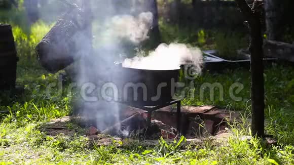 铁铸锅在明火上煮炖菜视频的预览图