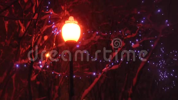 路灯照亮了白雪覆盖的树枝和飘落的雪视频的预览图