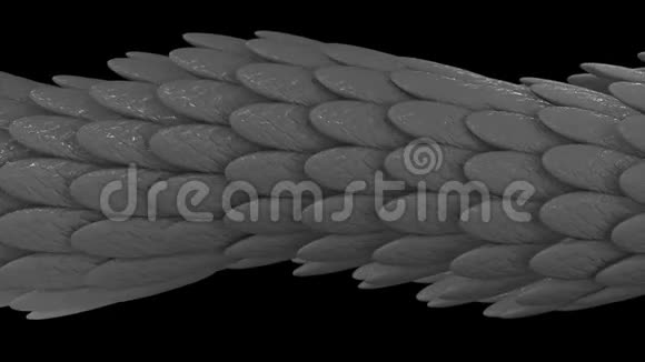 由银色羽毛在黑色背景上发光和流动形成的角状3D管无缝环动画视频的预览图