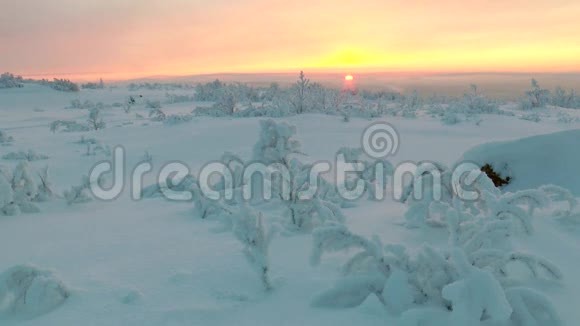积雪覆盖的冻土带在太阳升起的背景下植被较低视频的预览图