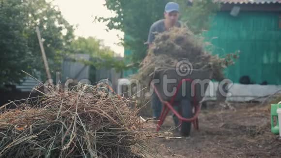 工作的男人和生活方式的女人园艺清洁草园农业工作农民装载垃圾和草视频的预览图