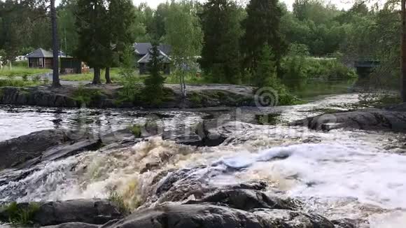 森林河上的瀑布缓慢移动视频的预览图