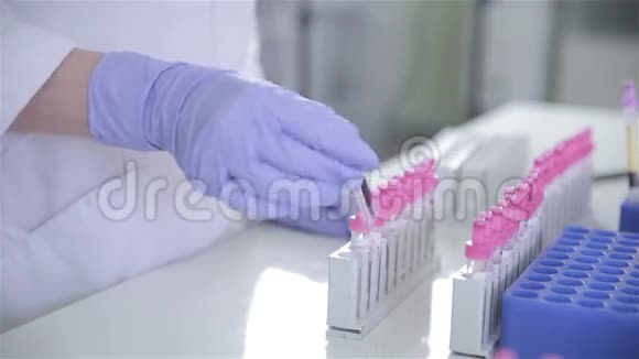 科学家医生在现代明亮的实验室用血样检查试管视频的预览图