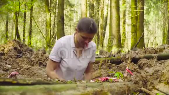 在森林里挖土缝的女生态学家视频的预览图
