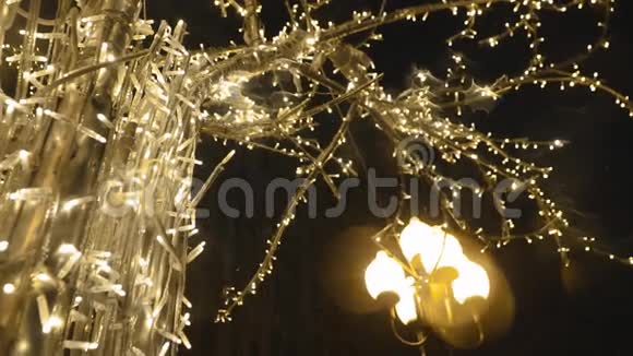 户外用冬天装饰的树视频的预览图