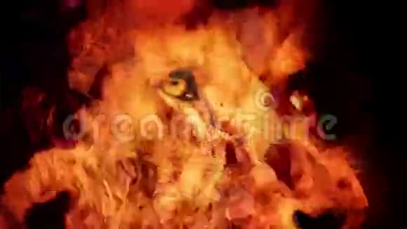 强大的狮子脸在火抽象视频的预览图