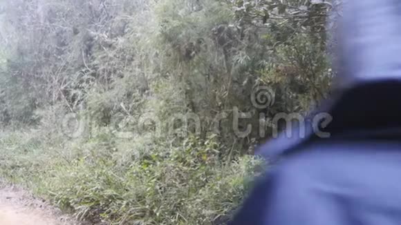 穿着雨衣的小女孩在旅行时走在树林里徒步旅行的女人在热带潮湿的森林里散步后方视野视频的预览图