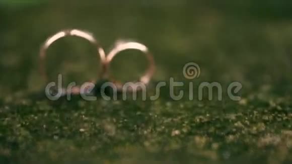 金环是绿雨瀑布视频的预览图