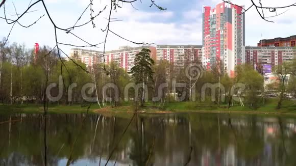 早春的城市公园里的湖4K视频的预览图
