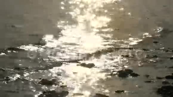 沙尔顿海的金色阳光反射视频的预览图