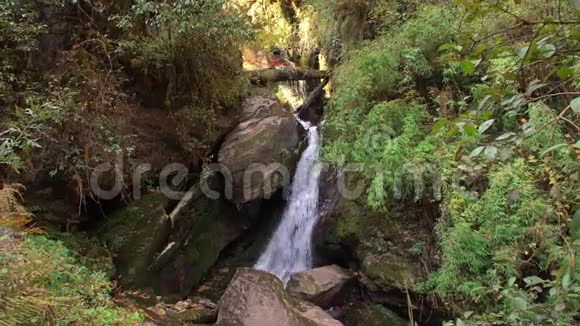 山河瀑布和瀑布在喜马拉雅山流动尼泊尔纯透明水森林小溪视频的预览图
