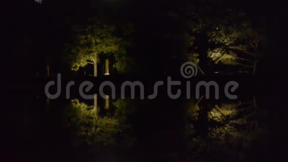 树林在平静的湖水中倒影如暗夜的镜子视频的预览图