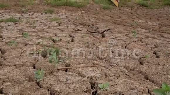 巴西卡努多斯韦略的干地板视频的预览图