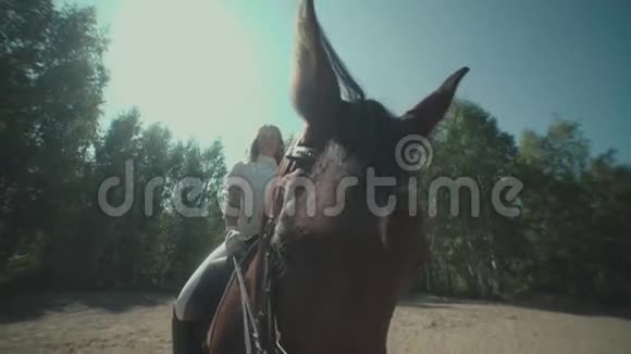 马和骑手站立周围是树木骑在马鞍上的骑手视频的预览图