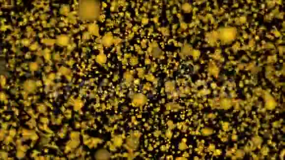 由空间中的mnay粒子构成的成功3d渲染计算机生成的背景视频的预览图
