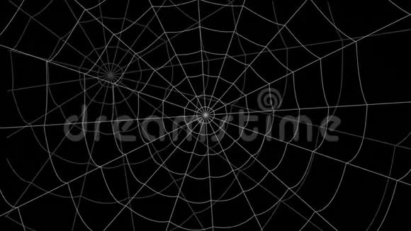 很少有蜘蛛网在黑色背景下移动视频的预览图