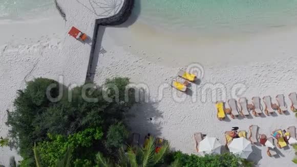 美丽的海滩有白色的沙滩棕榈树和清澈的蓝色海洋视频的预览图