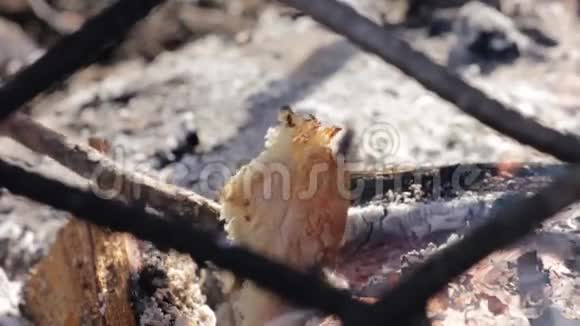 把面包烧了燃烧着的原木在火中燃烧视频的预览图