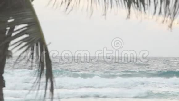 在拉帕尔马大海和棕榈之间浪漫日落的美妙肖像视频的预览图