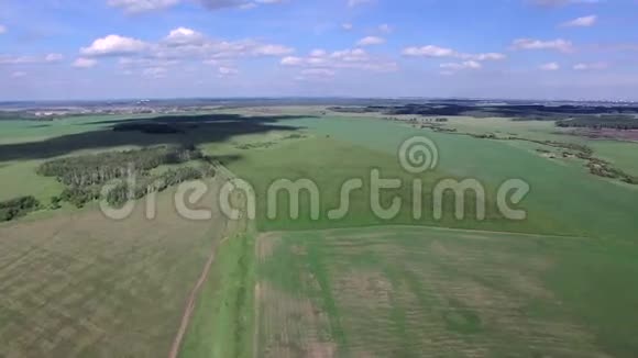 带农业绿地的夏季乡村空中景观视频的预览图